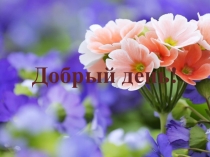 Презентация по биологии на тему Соцветия (6 класс)