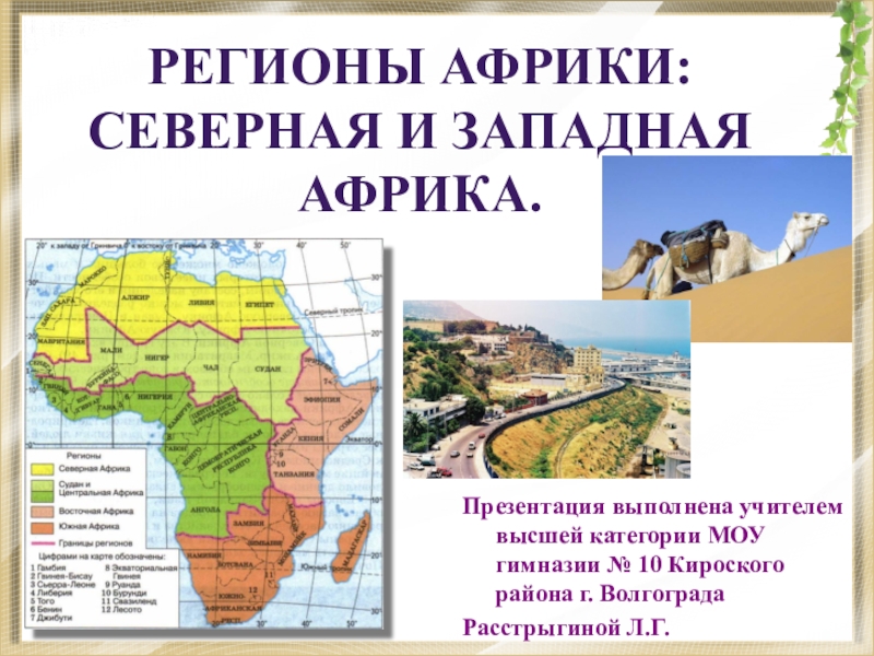Презентация Презентация по географии на тему Регионы Африки: Северная и Западная Африка.