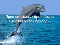 Признаки живых организмов. Царства живой природы.