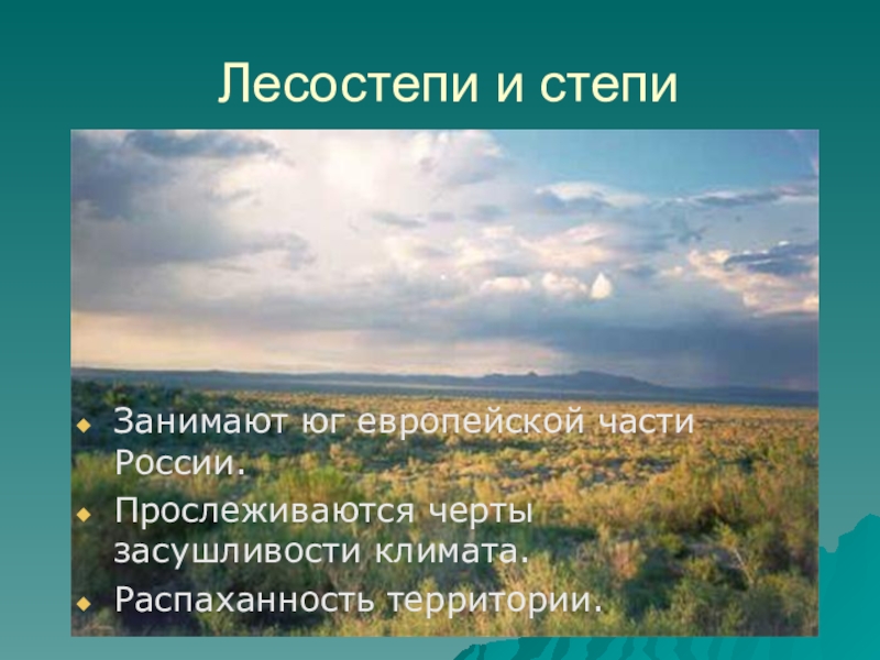 Природные зоны россии презентация 8 класс география