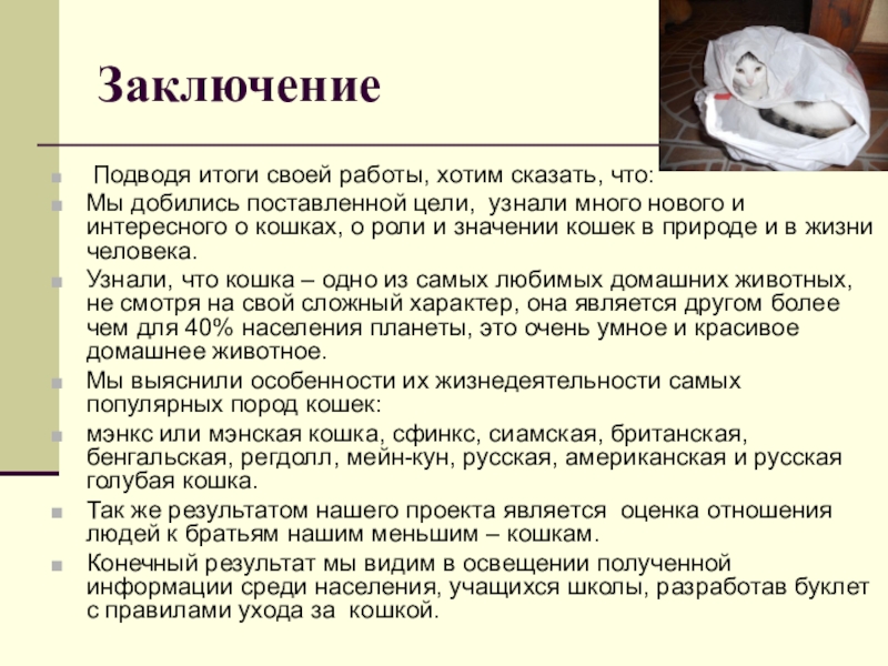 Проект наблюдение за домашней кошкой биология 7 класс