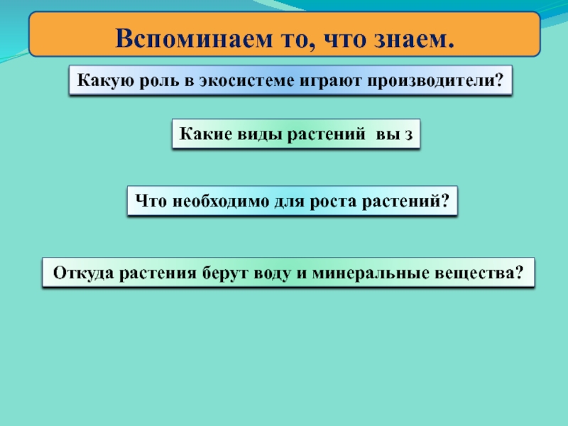 Какую роль в экосистеме играют растения. Растения производители. Растения производители 3 класс. Какую роль играют растения в экосистеме. Какую роль играют в экосистеме играют представительства.