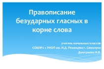 Презентация по русскому языку на тему Правописание безударных гласных в корне слова (3 класс)