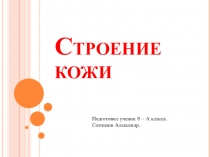 Презентация для 8 класса на тему: Строение кожи