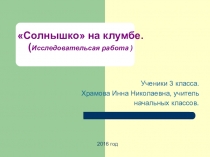 Презентация к исследовательской работе по окружающему миру Бархатцы