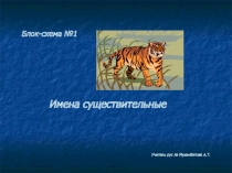 Презентация по русскому языку Имена существительные 5 класс