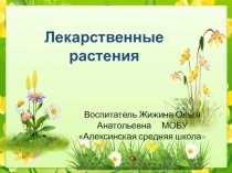 Презентация для детей старшего дошкольного возраста Лекарственные травы