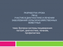Методическая разработка урока (презентация): Болезни пищеварения:Болезни системы пищеварения: гастрит, диагностика, лечение, профилактика