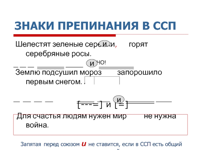 Знаки препинания в ссп презентация 11 класс