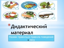Упражнения по экологическому воспитанию с использованием ИКТ в старшей группе 1