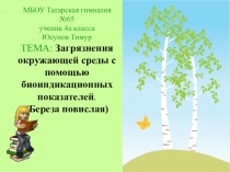 Презентация исследовательской работы Биоиндикация березы повислой
