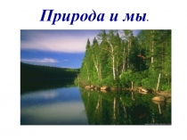 Презентация по литературному чтению на тему М. Пришвин. Выскочка (4 класс)