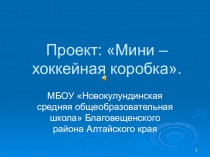 Презентация проекта: мини - хоккейная коробка.