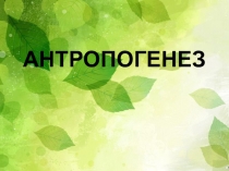 Презентация к уроку Антропогенез. Происхождение человека.