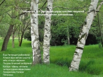 Презентация по чувашскому языку Чăваш писателĕсем çут çанталăк çинчен