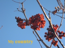 Презентация о родном селе Алексеевка