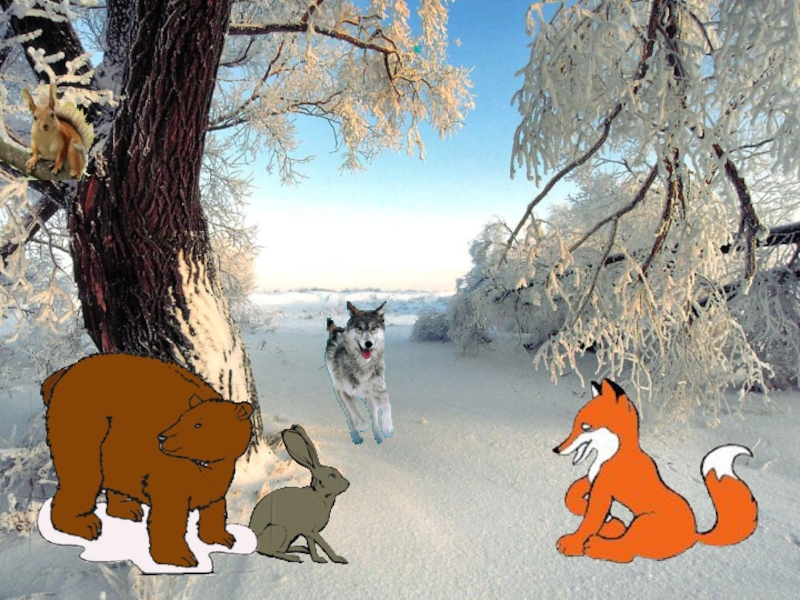 Лис и медведь читать. Лесные звери зимой. Волк и заяц в лесу. Волк и лиса. Волки лиса и медведь в зимнем лесу.