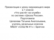 Презентация по окружающему миру на тему Что растёт на клумбе? 1 класс