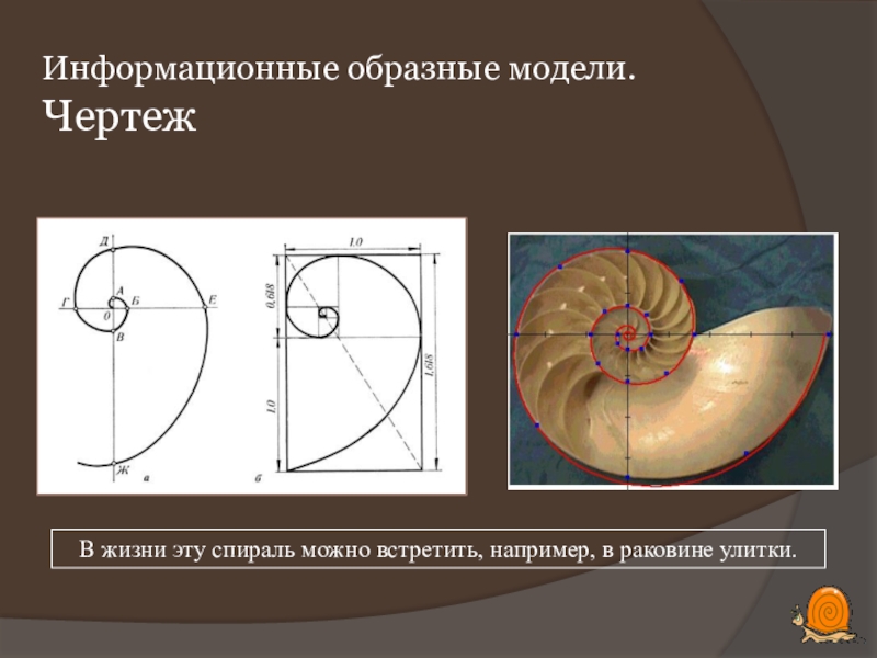 Образные модели это. Образные модели примеры. Образные информационные модели. Пример образной модели. Образная информационная модель пример.