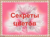 Презентация Секреты цветов 1 часть
