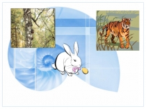 Разработка урока биологии 6 класс Организм - единое целое