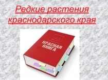 Редкие растения Краснодарского края