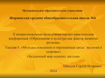 Презентация по окружающему миру