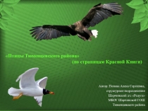 Презентация по познавательному развитию для детей дошкольного и школьного возраста Птицы Тюменцевского района (по страницам Красной Книги)