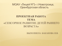 Проектная работа сенсорное развитие детей
