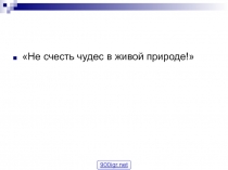 Презентация по биологии растений. Покрытосеменные растения.