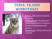 Ткани животных