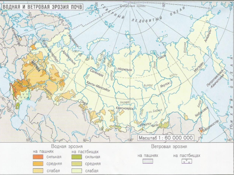 Почвы россии география 8 класс карта россии