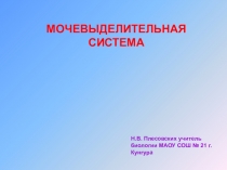 Презентация по биологии на тему: Мочевыделительная система ( 8 класс)