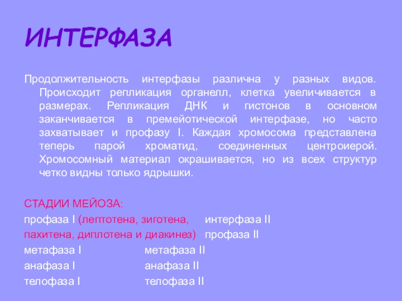 Интерфаза стадии интерфазы. Клеточный цикл интерфаза и деление. Жизненный цикл клетки интерфаза. Жизненный цикл клетки интерфаза. Длительность интерфазы.