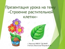 Строение растительной клетки