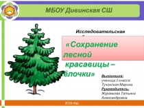Сохранение лесной красавицы - ёлочки