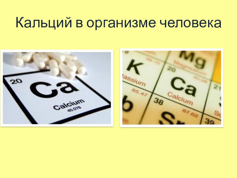 Кальций источник жизни здоровья и красоты проект