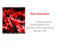 Презентация по биологии на тему Бактерии