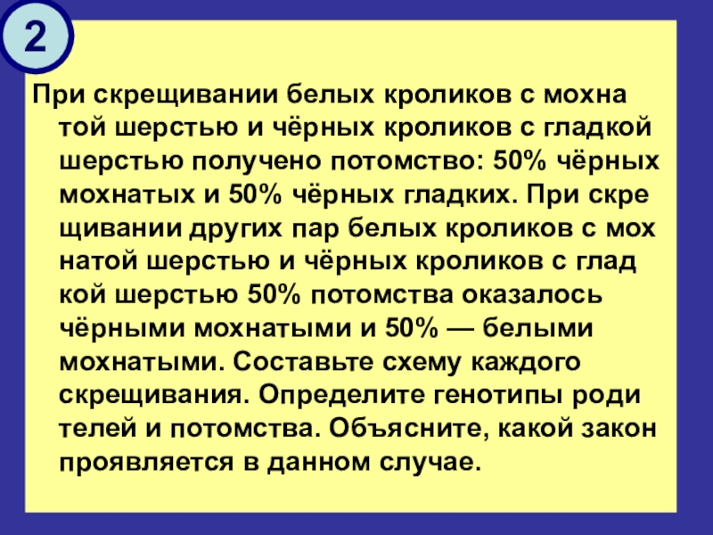 При скрещивании белой крольчихи