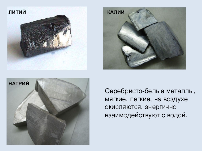 Железо это активный щелочной металл. Натрий литий литий калий. Натрий не металл или металл. Металлический натрий. Натрий мягкий металл.