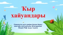 Презентация по башкирскому языку на тему Ҡыр хайуандары (1 класс)