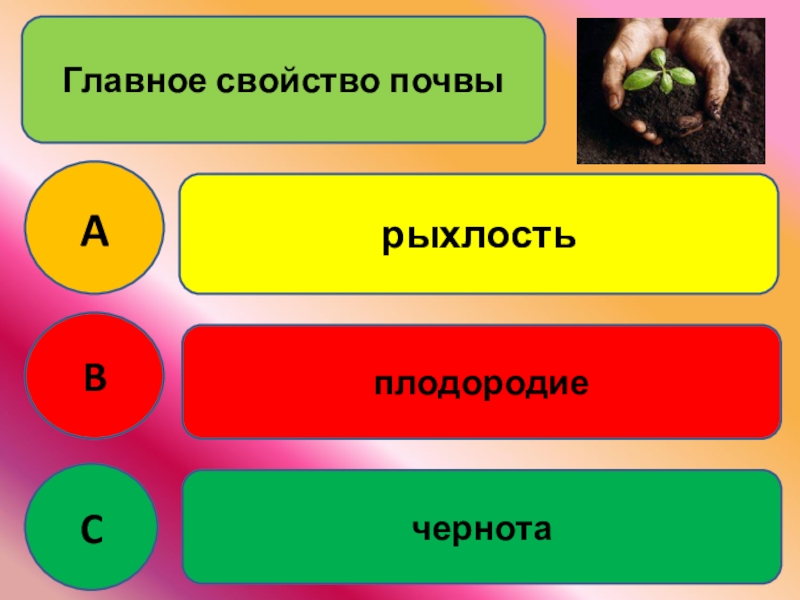 Свойства почвы картинка