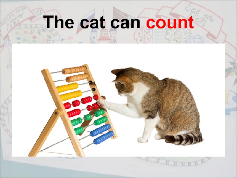 The cat can count