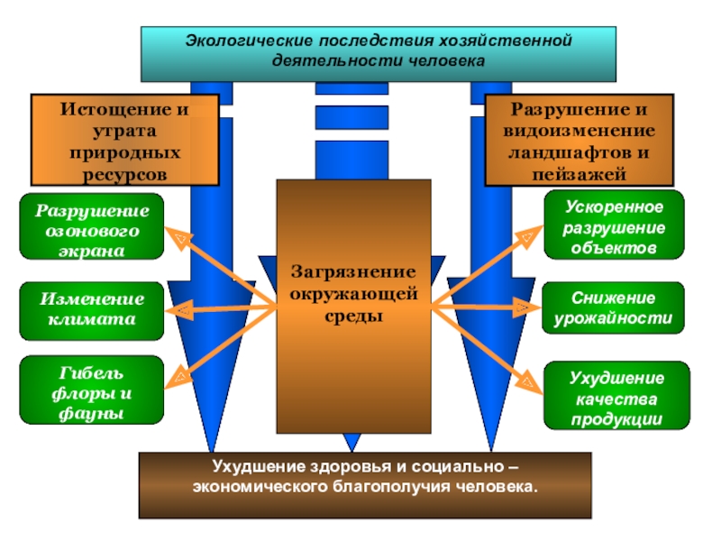 Презентация последствия хозяйственной деятельности человека 9 класс биология