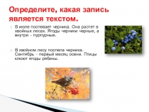 Презентация по русскому языку на тему Текст. Упражнения (2 класс)