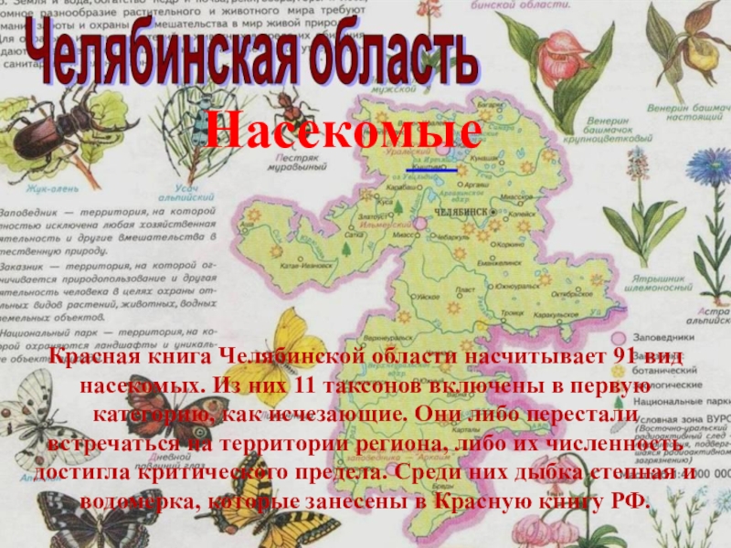 Красная книга челябинской области картинки