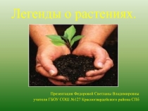Презентация по природоведению на тему Легенды о растениях