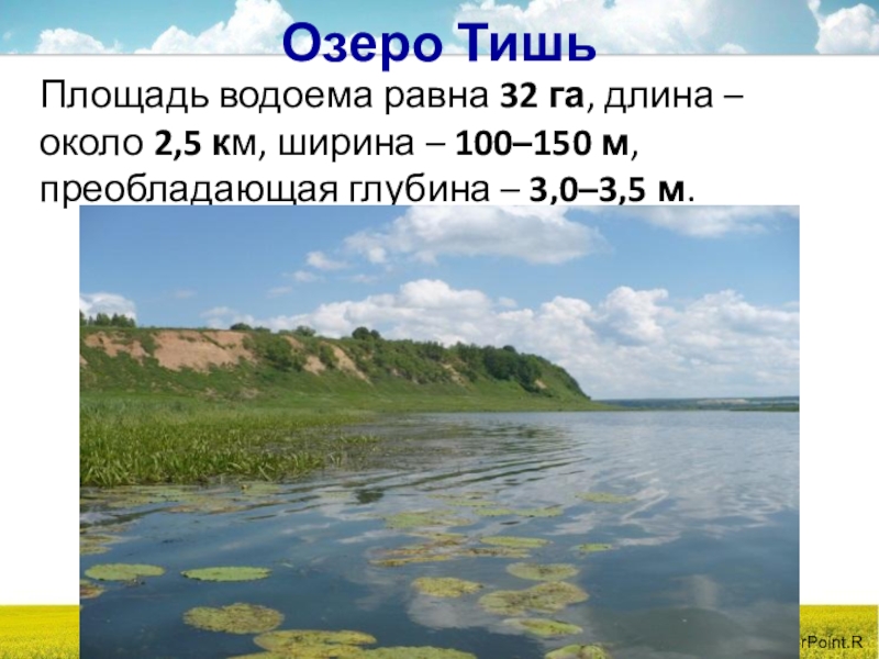 В озеро глубиной 5 м. Озеро тишь. Озеро тишь Калужская область. Площадь водоема. Желоховское озеро (тишь).
