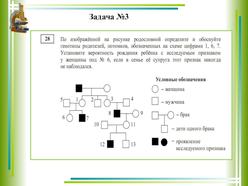 Задачи на составление родословной. Задачи родословная по генетике. Задачи по родословной. Задачи по родословной с решением. Задачи на родословную по схеме.