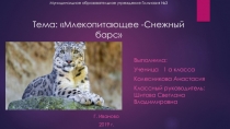 Презентация по окружающему миру 1 класс Снежный барс